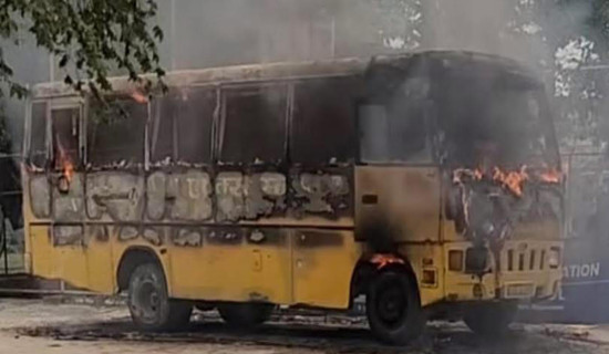 School bus catches fire