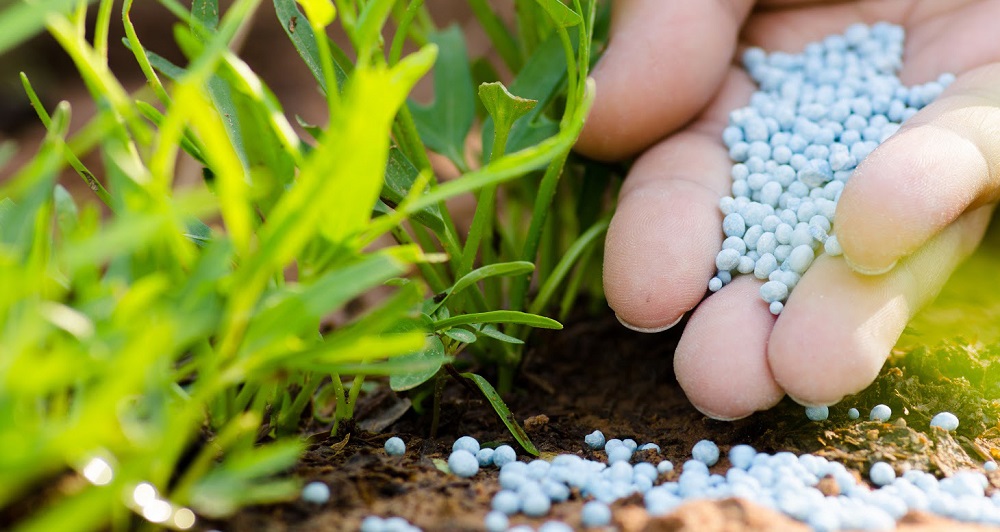 Minister Chaudhary discusses with Foreign Ministry to ease supply of chemical fertilizer