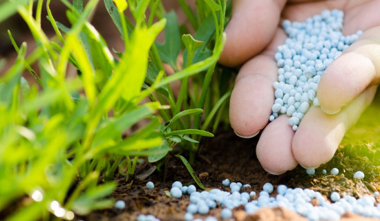 Minister Chaudhary discusses with Foreign Ministry to ease supply of chemical fertilizer