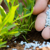 The transaction of Ncell shares to be investigated