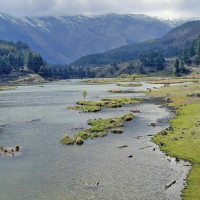 Verdict to release Khand on bail