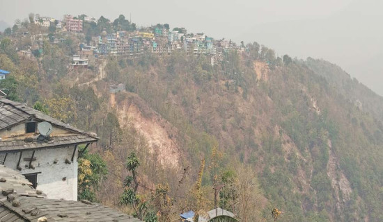 Inaction escalates land encroachment