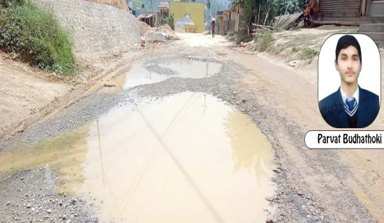 Unsafe Roads Crisis