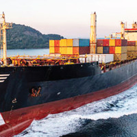 Yarsagumba collection in Dolpa's Maluwachaur