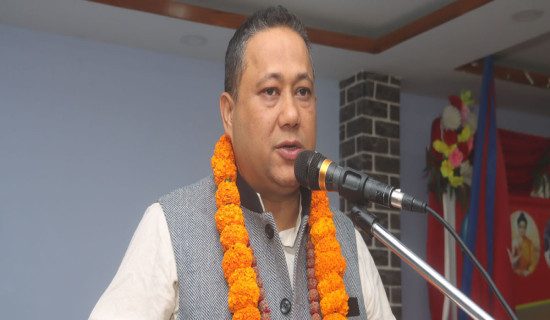 U-19 cricket world cup: Nepal playing New Zealand