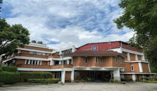 Music for Peace event held