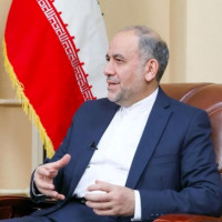 At least 200 crocodiles crawl into cities as heavy rains hit northern Mexico