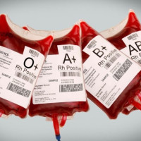 Airport expansion dream coming true in six years- Mayor Dahal