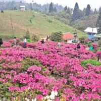 Four new wheels crafted for Rato Machhindranath chariot