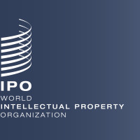 Electricity generation to be further strengthened