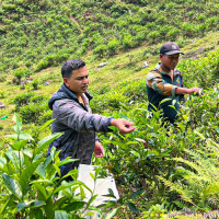 Immunization against measles and rubella from Feb 25