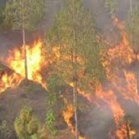 Govt decides to provide Rs one million as relief to victim of Barahathawa incident