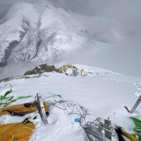 Sustainable forest management could create 1.3 mln direct jobs: PM Prachanda