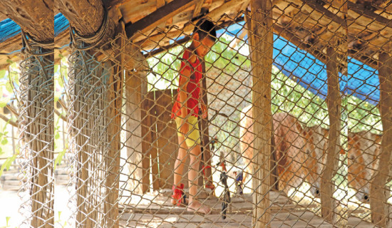 8-year-old girl kept tied with a rope