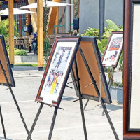 Film is effective medium to transform society: CIT Minister Sharma