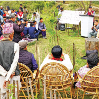 Poddar’s maiden fifty in vain as Nepal fall to USA