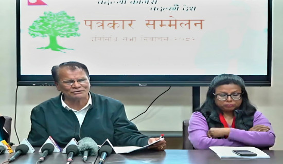 Performance of Parliament determines success of federalism