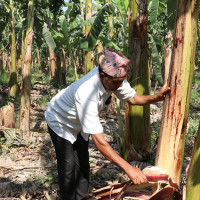 NOC hikes price of diesel, kerosene by Rs. 6 a liter