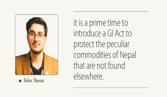 Mumbai beat Delhi by eight runs in final to win WPL title