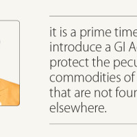 Fuel switches cut off before Air India plane crash: AAIB