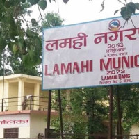 Environment-friendly Teej festival suggested