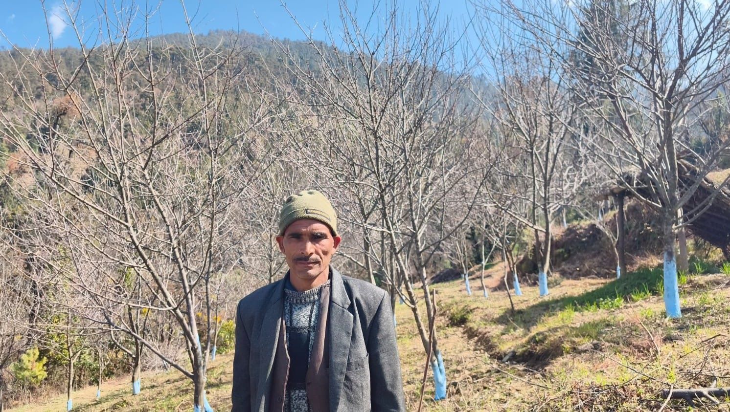 Road access motivates farmers into apple farming