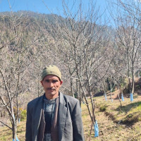 World’s most powerful passports for 2024