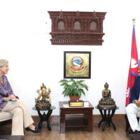 Traffic Police take action against 2,746 drivers in last 24 hours