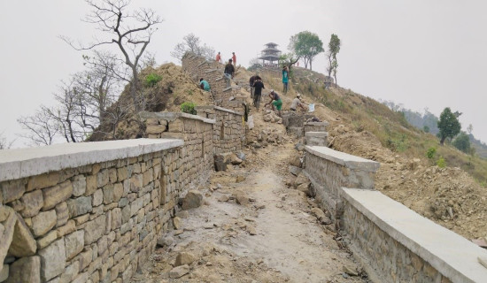 Three ministers allocated portfolio in Koshi Province