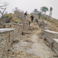 Women sustaining their livelihood through Bhorla leaves