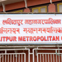 Translocated rhinos find new friends in Koshi Tappu