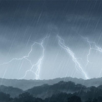 Over Rs. 22.7 M collected from visitors in MCA