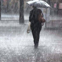 Govt decides to hold local level by-election on December 1