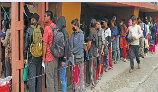 Private firms fail to maintain record of fertilizers sale