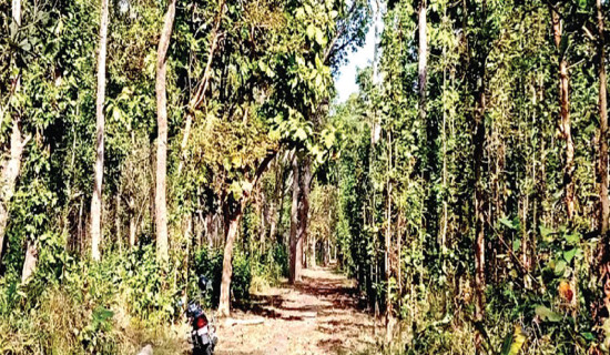 German govt. to provide Rs 14.2 million for reconstruction of drinking water project