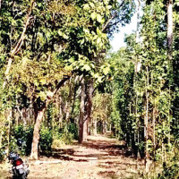 Planning, Consultation Must Precede Action