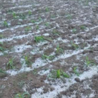 German govt. to provide Rs 14.2 million for reconstruction of drinking water project