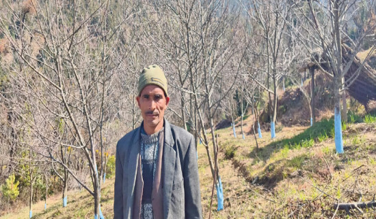 HoR passes Govt's Policies and Programmes