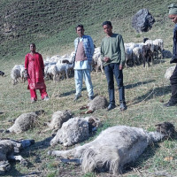 HoR welcoming 31 indigenous members