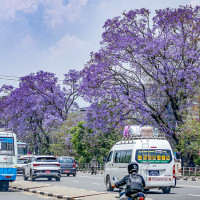 No individual work permit to Russia: Minister Aryal