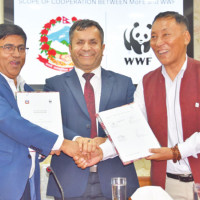 Rainfall with thunder and lightning predicted