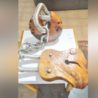 MoFE, WWF Nepal sign deal on biodiversity, sustainability