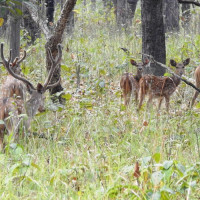 Germany pledges monetary assistance to support flood-hit communities