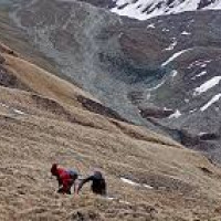 UML CC Member Thapa dies of heart attack