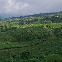 Tourist arrivals up 50% in Mustang in 2081 BS compared to previous year