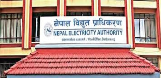 NEA's 'Digital Infrastructure Company' comes into operation