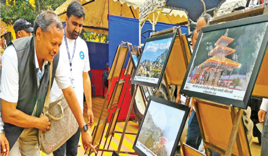 DoMLI seeks details of company founders linked to Bhatta