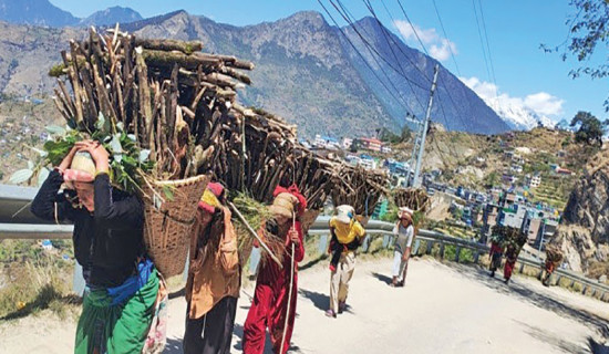 Multiple Nepali, foreign films released in local cinemas