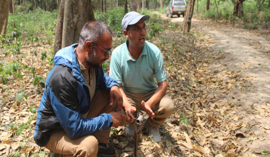 Artificial smell technology being used to reduce human-wildlife conflict