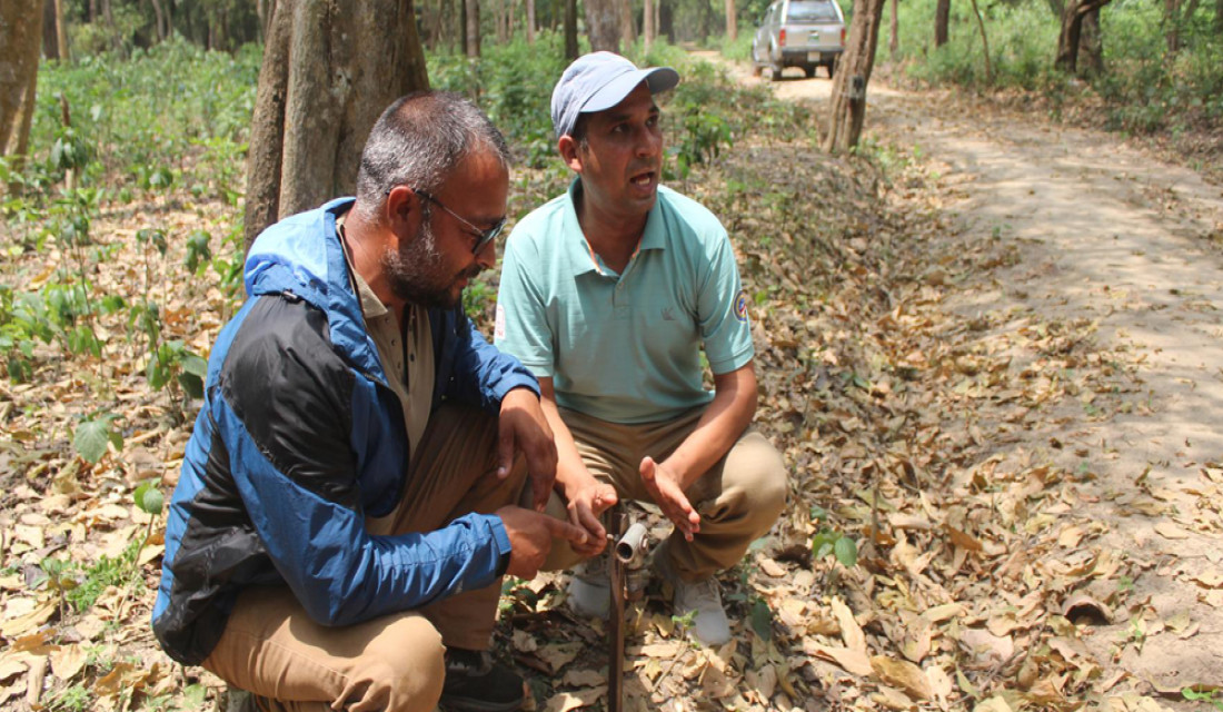 Artificial smell technology being used to reduce human-wildlife conflict